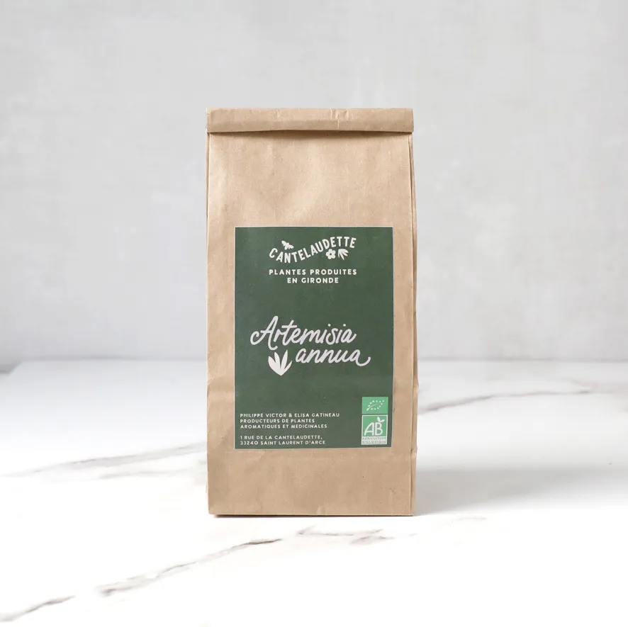 Artemisia Annua