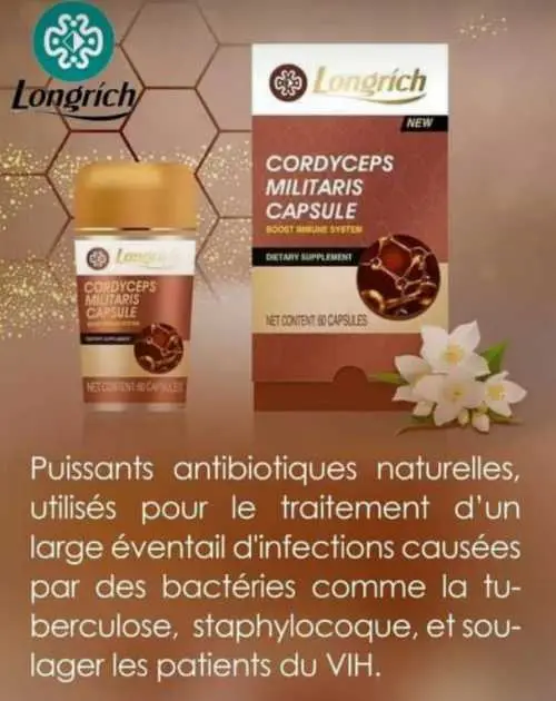 Cordyceps Militaire de Longrich