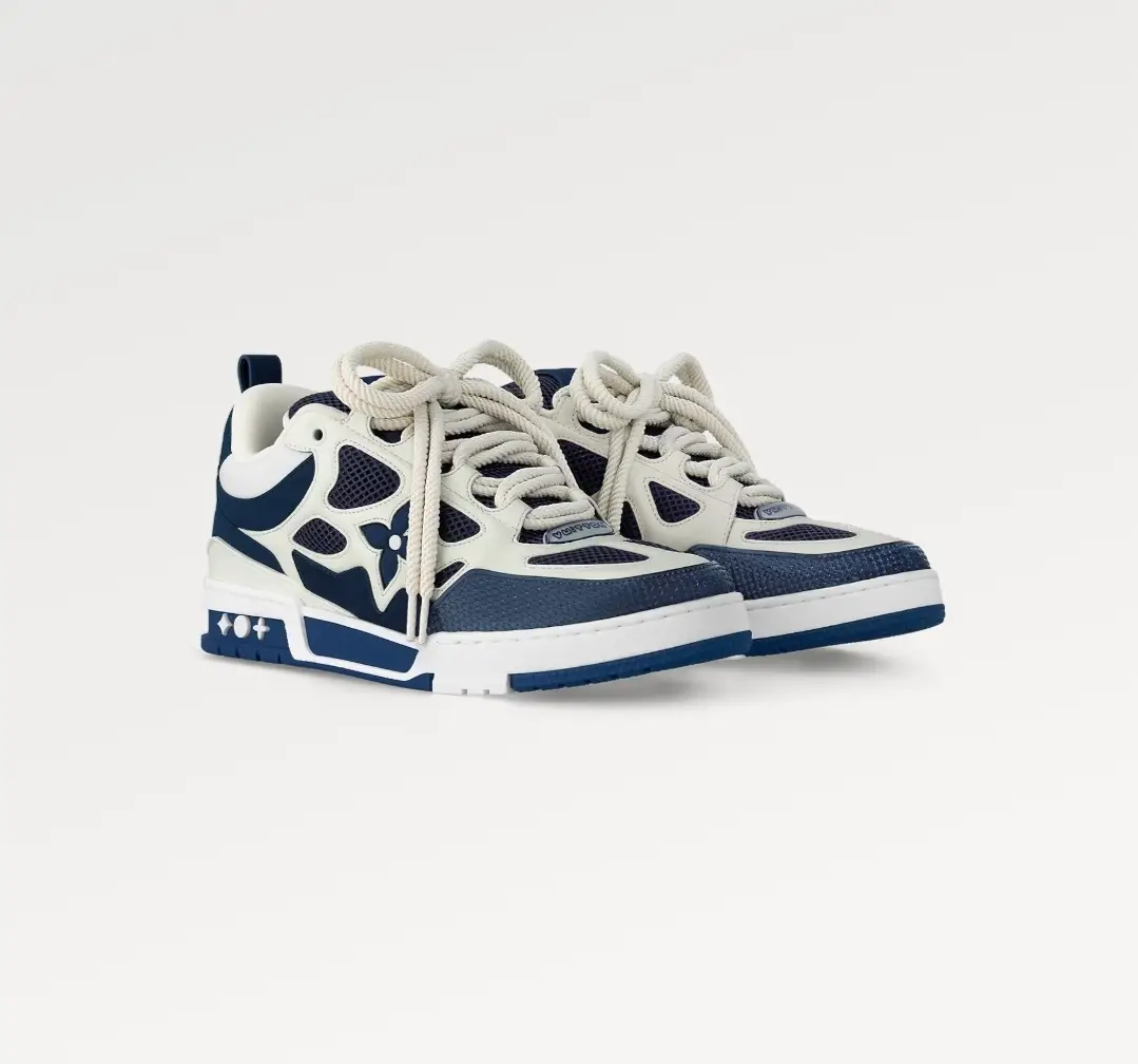 Vue alternative 1 - La sneaker Louis Vuitton Skate
