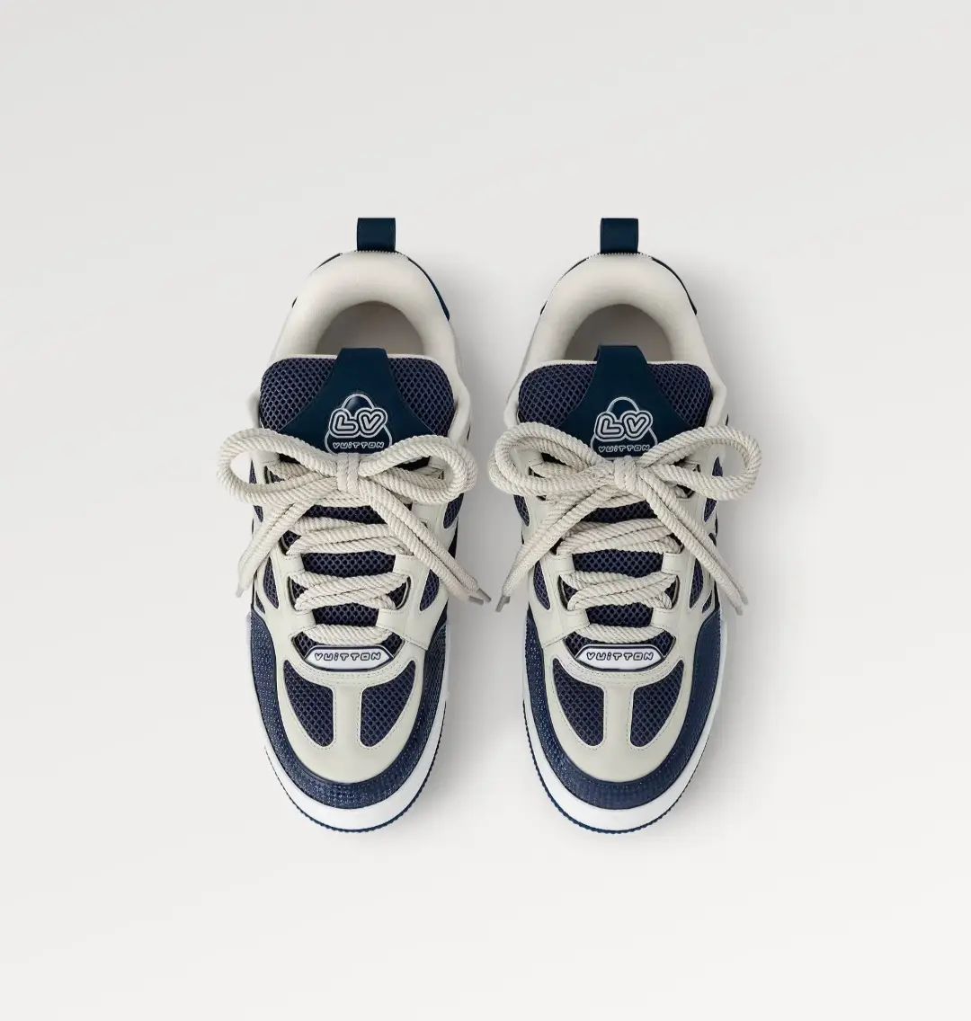 Vue alternative 2 - La sneaker Louis Vuitton Skate