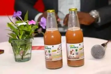 Vue alternative 8 - Jus naturels , 