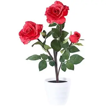 Vue alternative 1 - Pau des fleurs