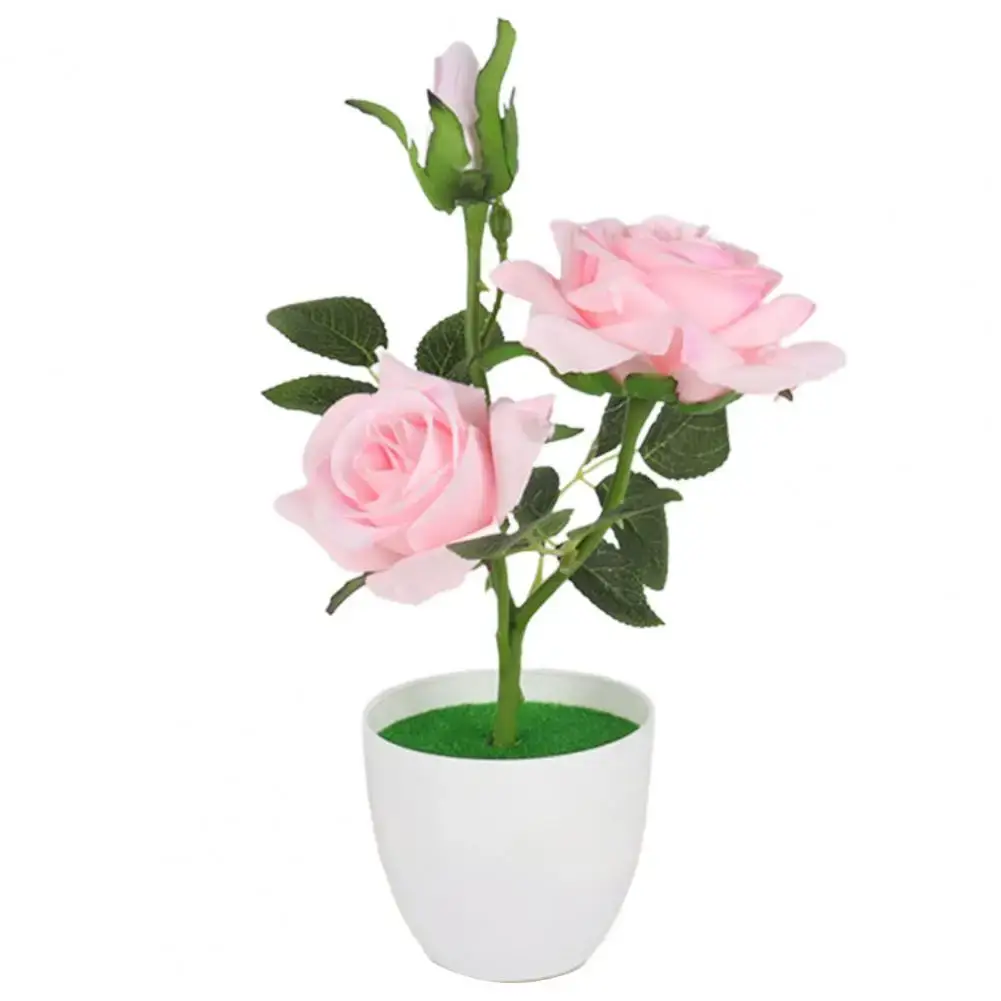 Vue alternative 2 - Pau des fleurs