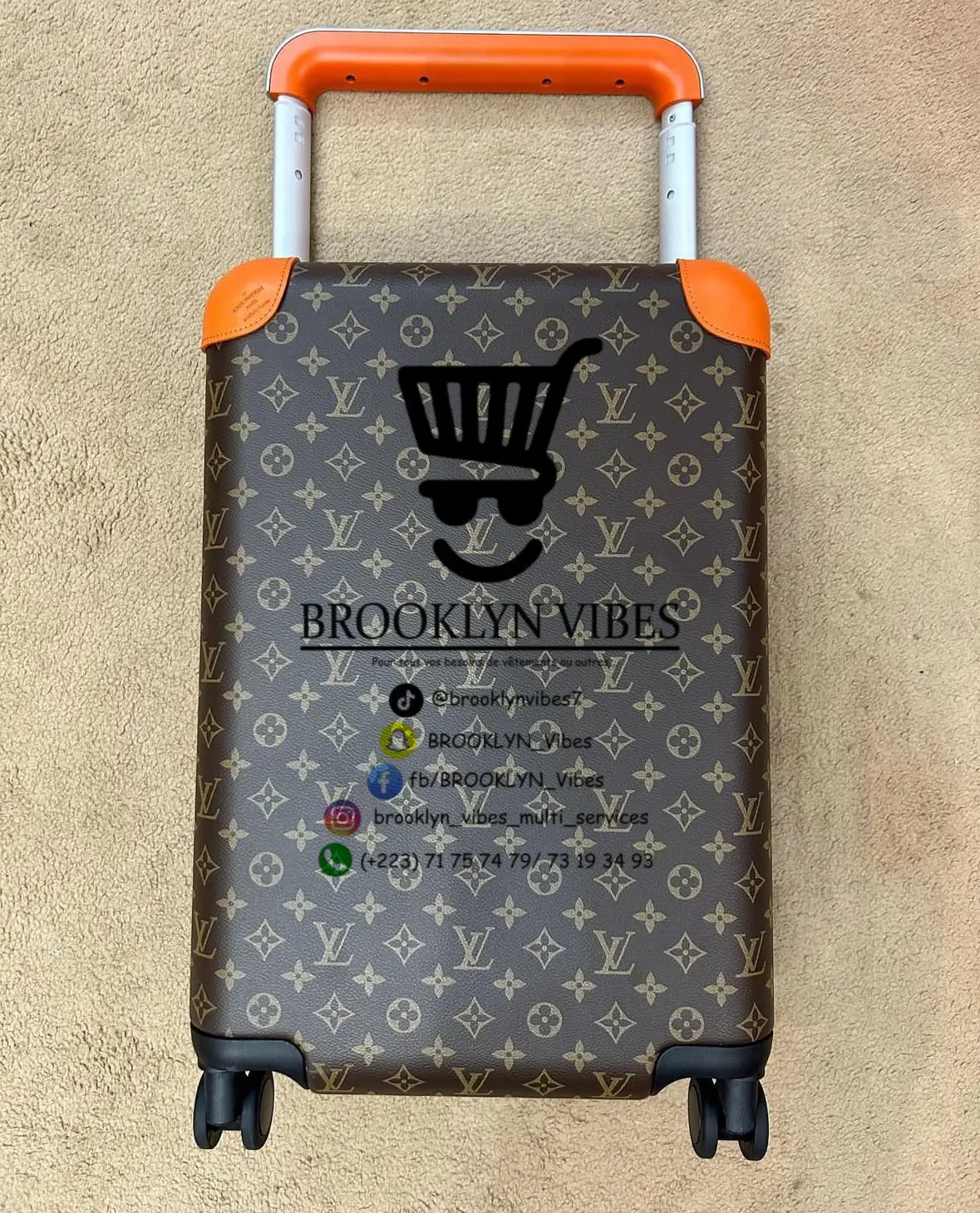 Vue alternative 1 - Valise ?