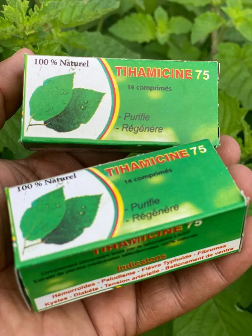 Vue alternative 2 - Tihamicine 75