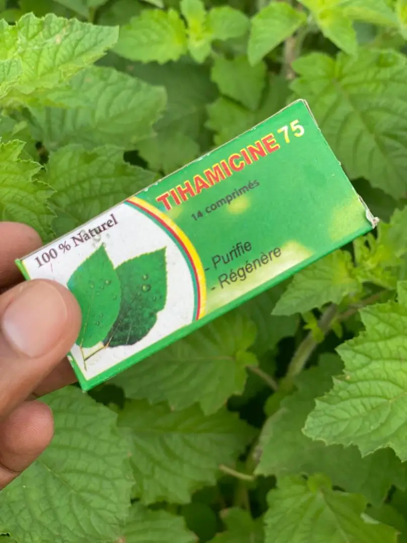 Vue alternative 3 - Tihamicine 75