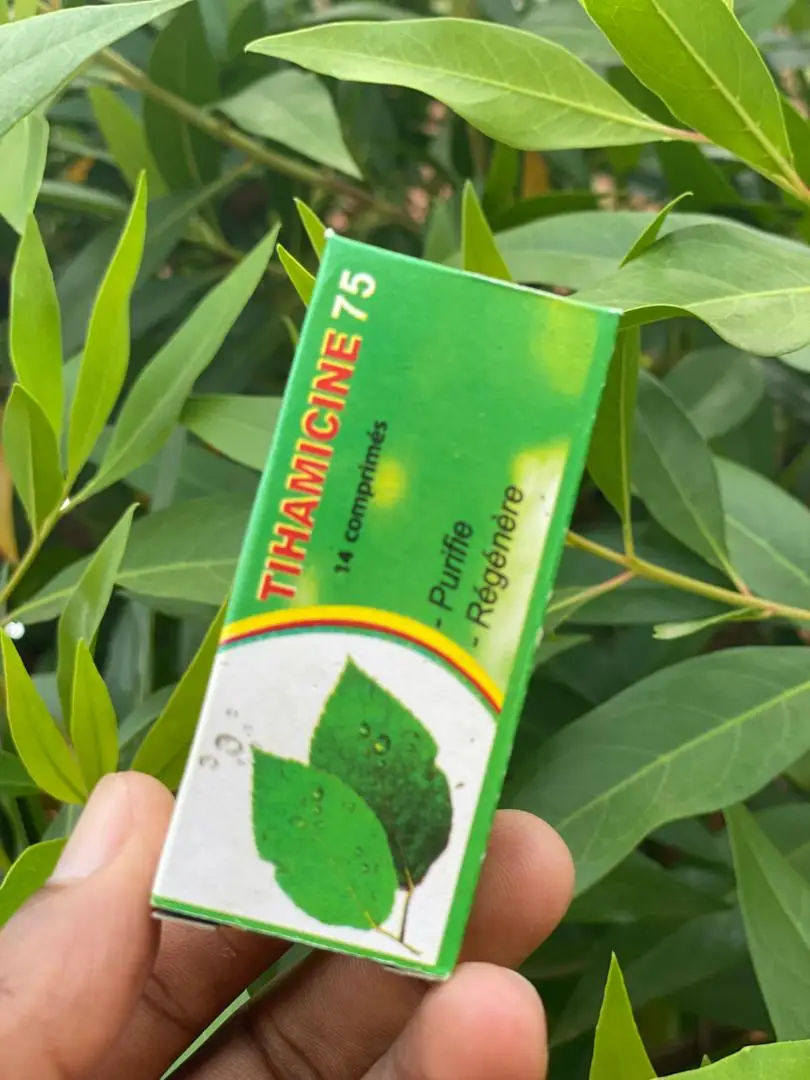 Vue alternative 7 - Tihamicine 75