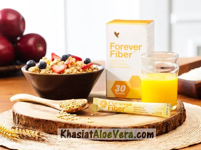 Vue alternative 3 - Forever Fiber