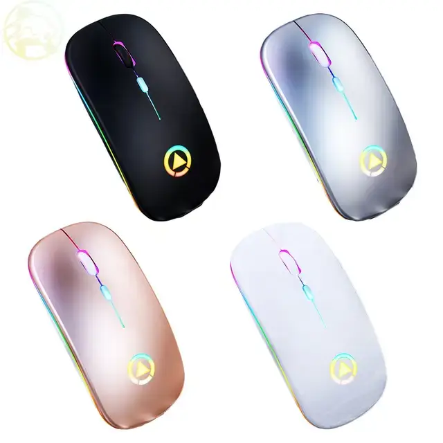 Vue alternative 2 - Souris 