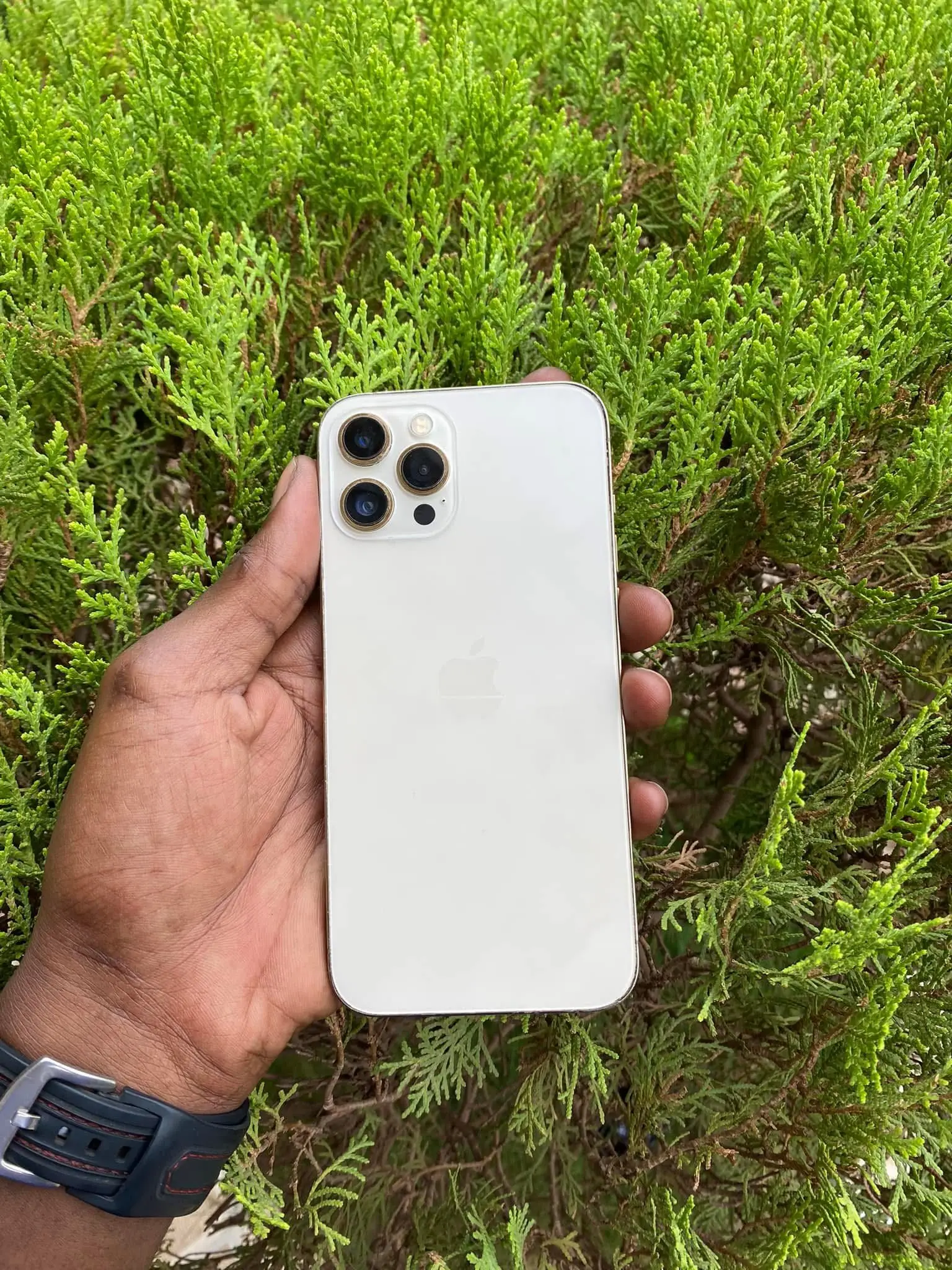 Vue alternative 1 - iPhone 12 Pro Max