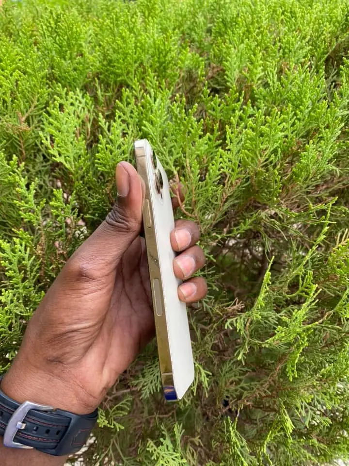 Vue alternative 2 - iPhone 12 Pro Max