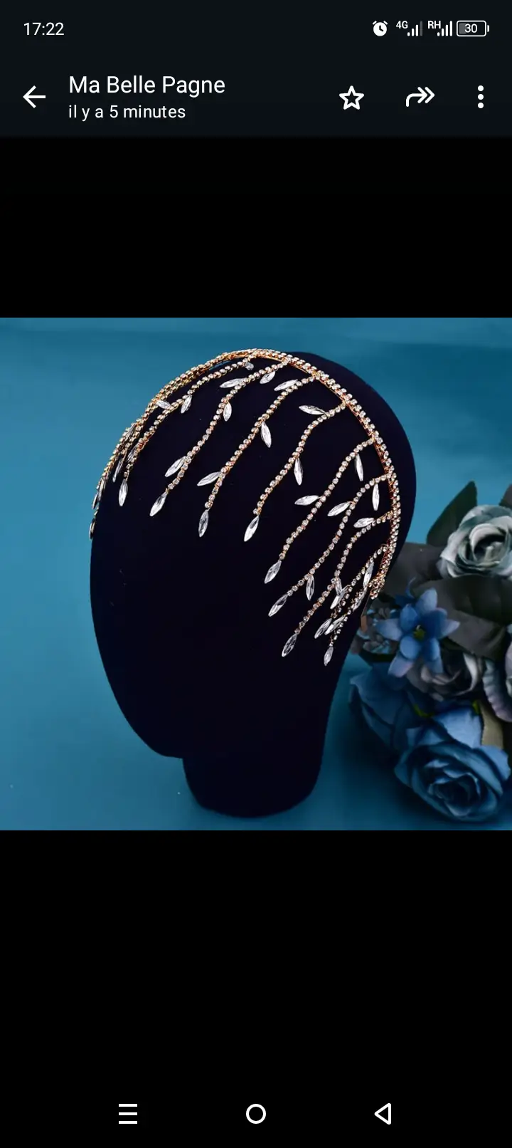 Vue alternative 1 - Collier de tête 