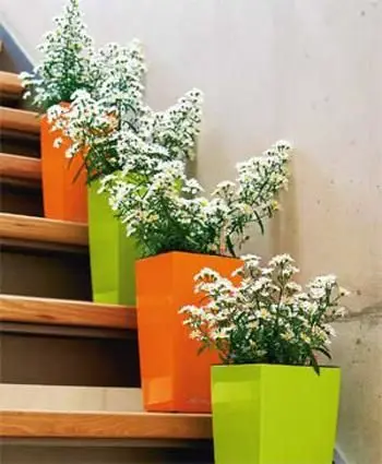 Vue alternative 1 - Pot de fleurs 