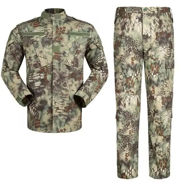 Vue alternative 4 - Costume 