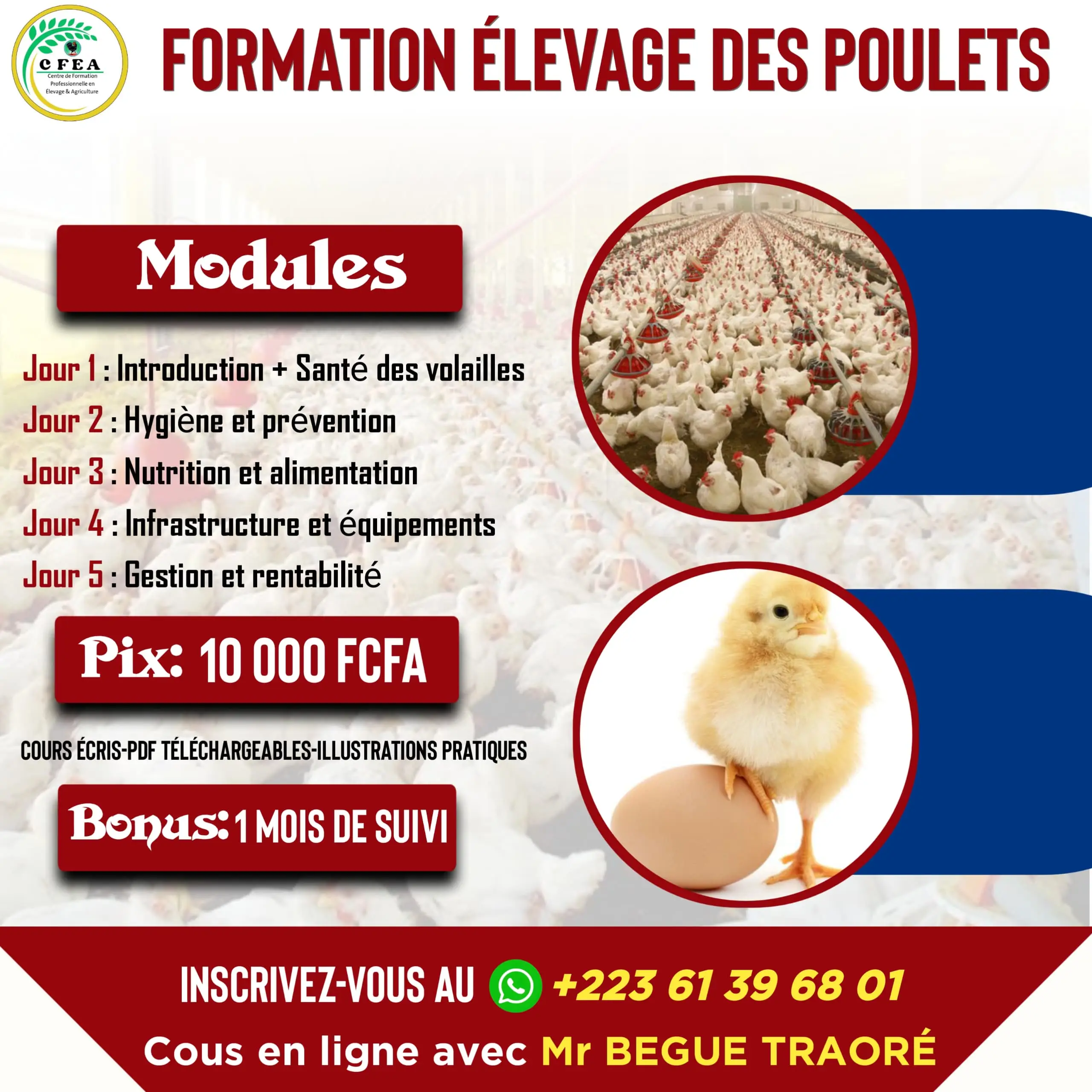Vue alternative 1 - Formation en aviculture ??