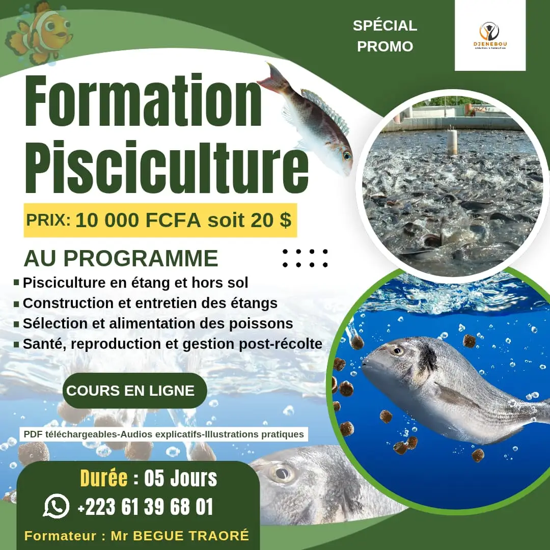 Vue alternative 1 - Formation pisciculture