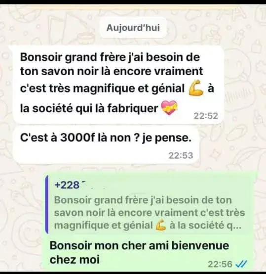 Vue alternative 10 - Disponible au MALI