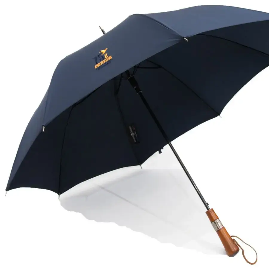 Vue alternative 1 - parapluie pluie