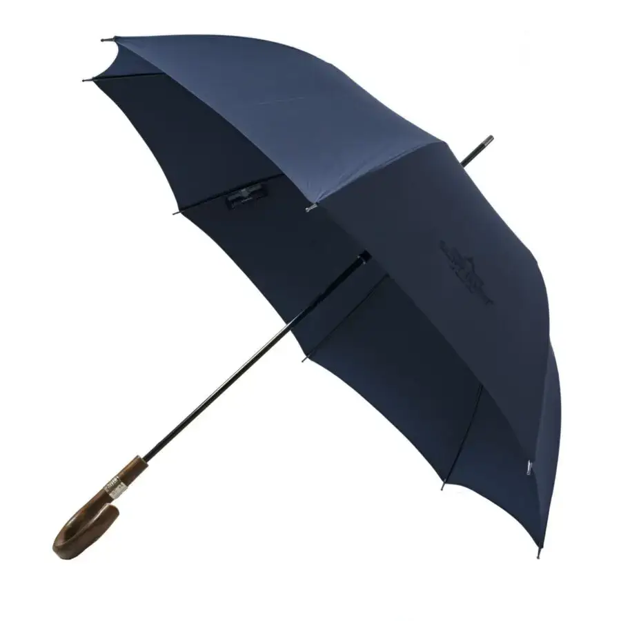 Vue alternative 3 - parapluie pluie