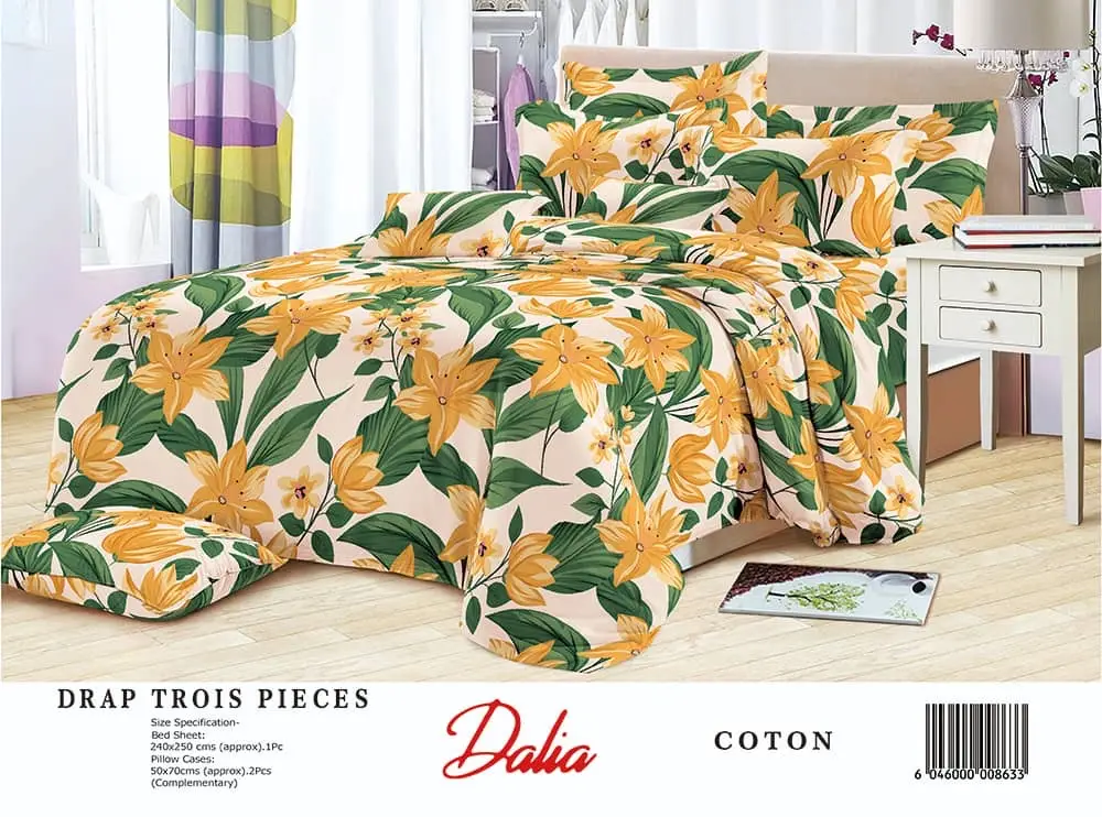 Vue alternative 19 - Drap simple