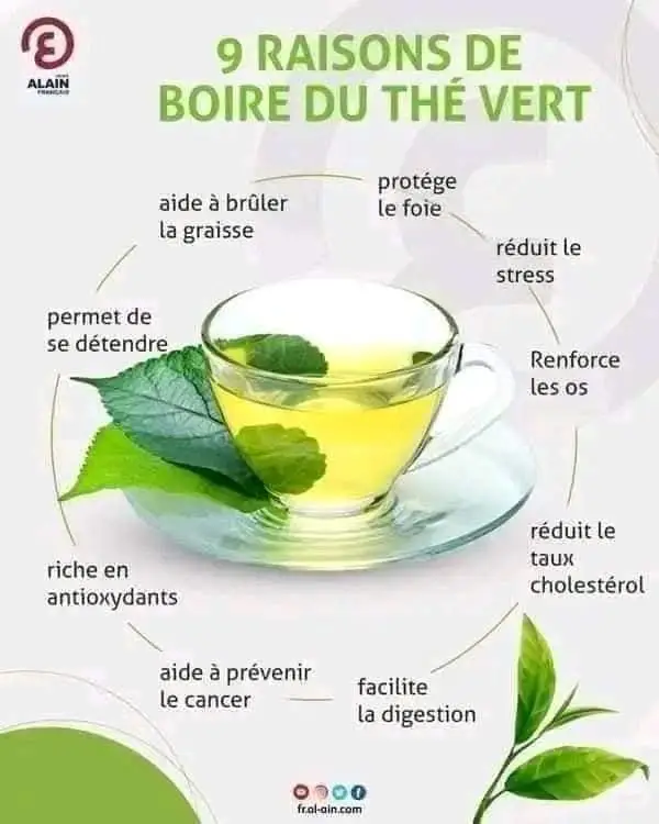 Vue alternative 1 - Thé vert de Longrich