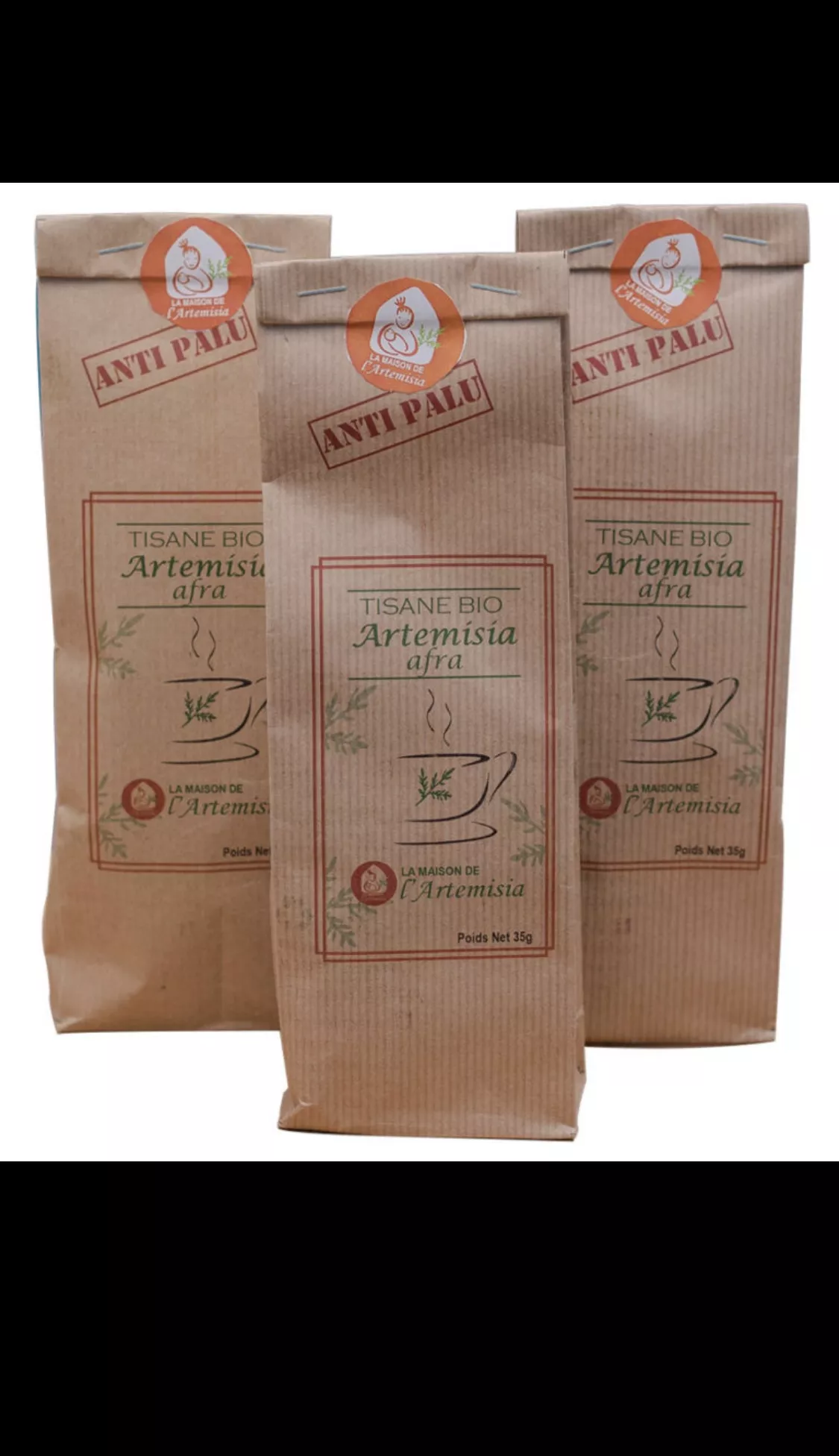 Artemisia Annua - Vue détaillée 1