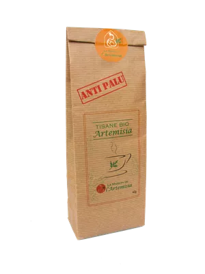 Artemisia Annua - Vue détaillée 3