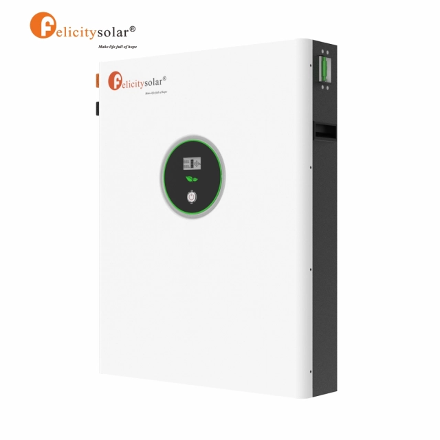 Paquet de batteries solaires au phosphate de lithium de longue garantie de LPBA 48V 200AH 10KWH avec BMS - Vue détaillée 1