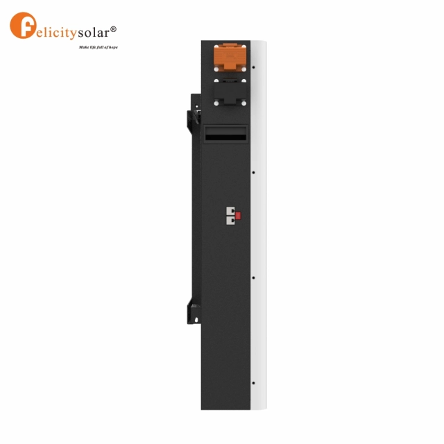 Paquet de batteries solaires au phosphate de lithium de longue garantie de LPBA 48V 200AH 10KWH avec BMS - Vue détaillée 3
