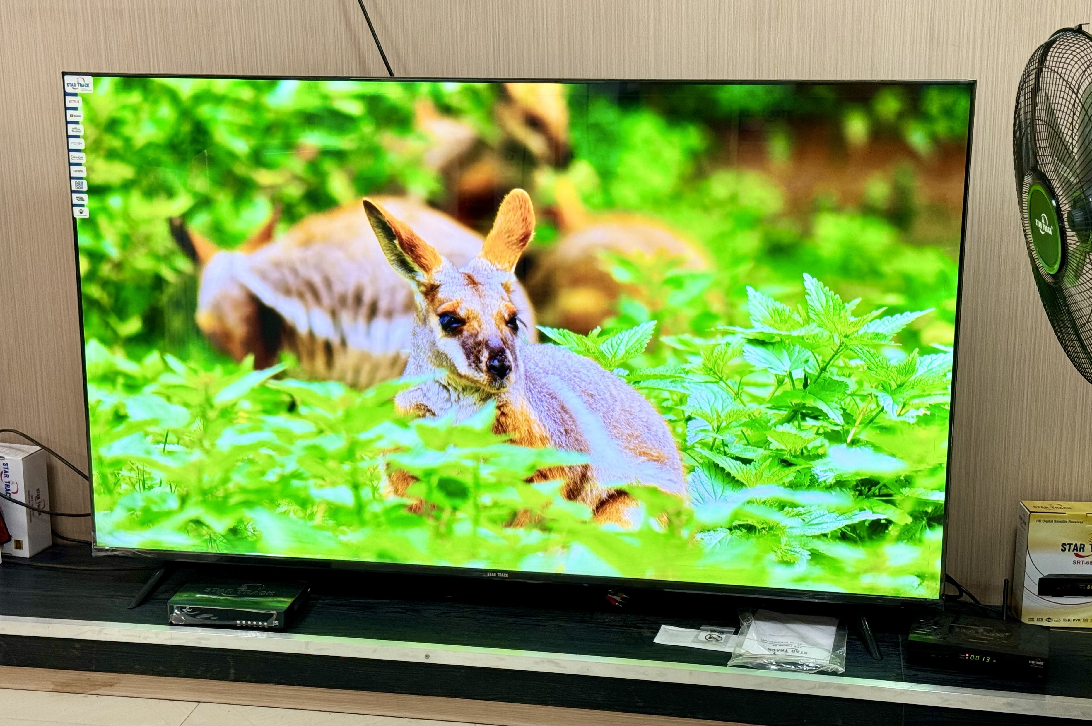 TV 70 Smart webOS - Vue détaillée 3