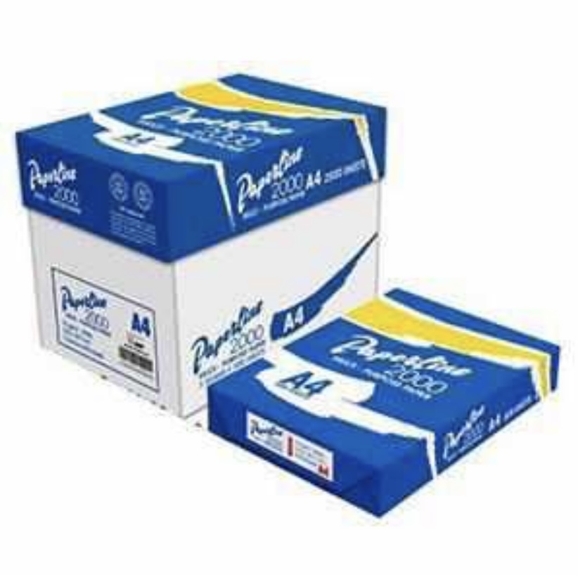 Ram A4  - Vue détaillée 1