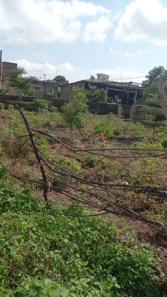 A vendre une parcelle à la cité BMS vers Attbougou 1008 - Vue détaillée 1