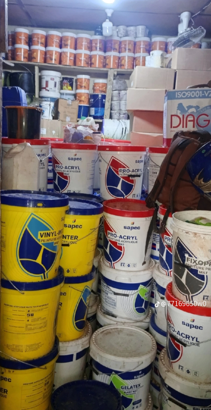 Peinture  - Vue détaillée 1