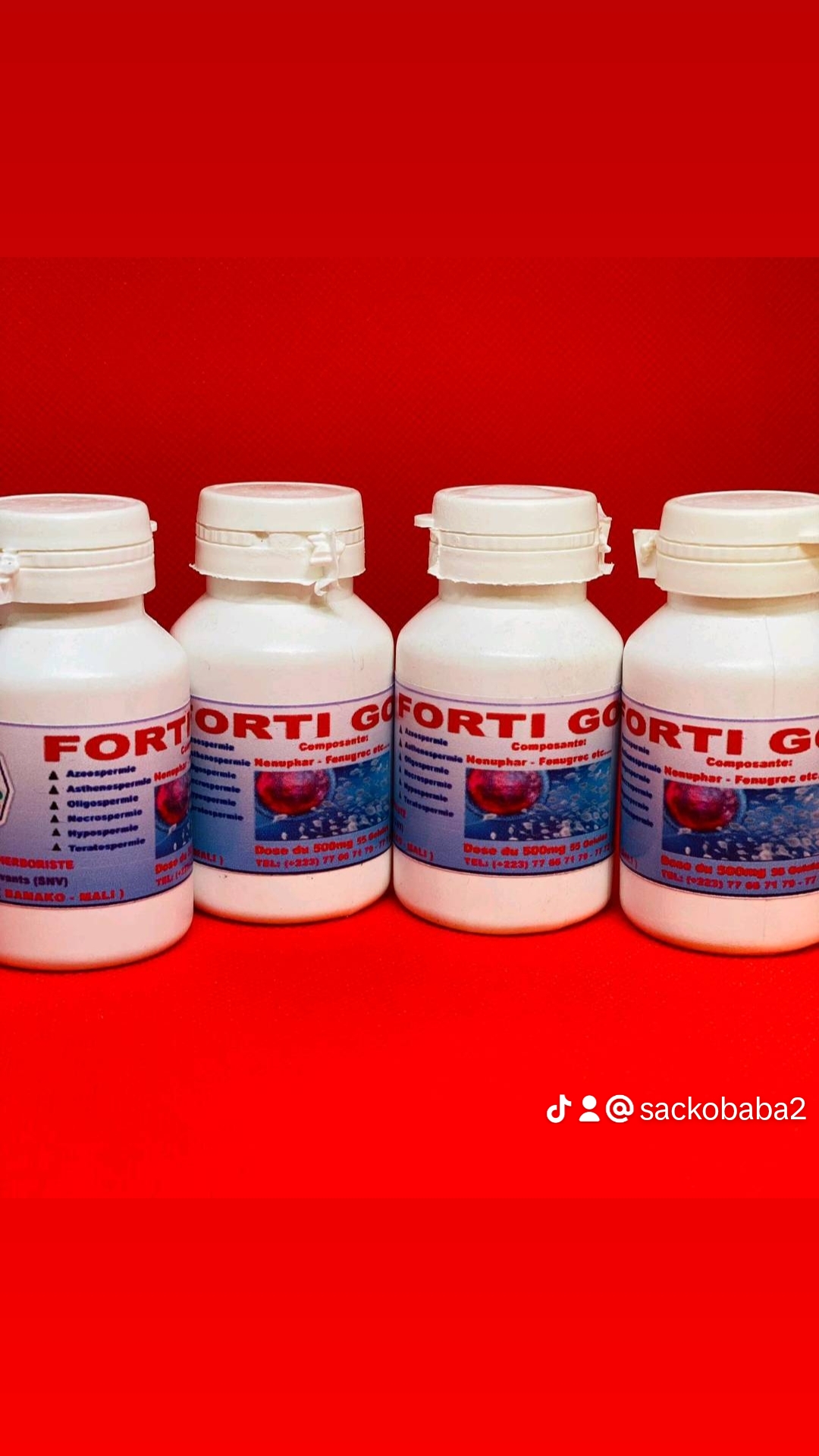 Forti Goo - Vue détaillée 2