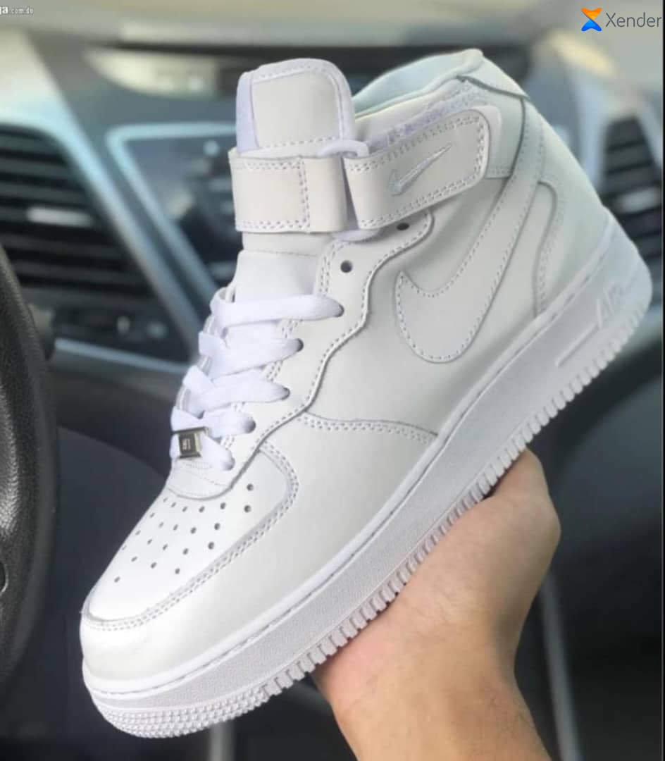 Ensemble  des fermé de souris  - Vue détaillée 1