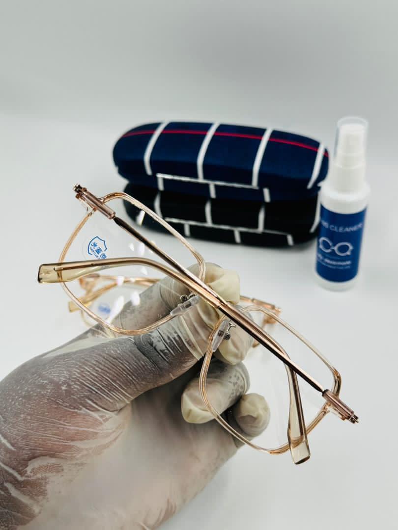 Monture - Vue détaillée 3