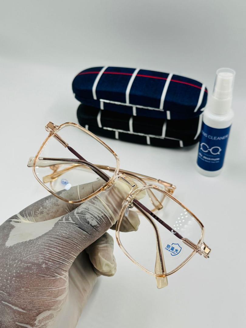 Monture - Vue détaillée 5