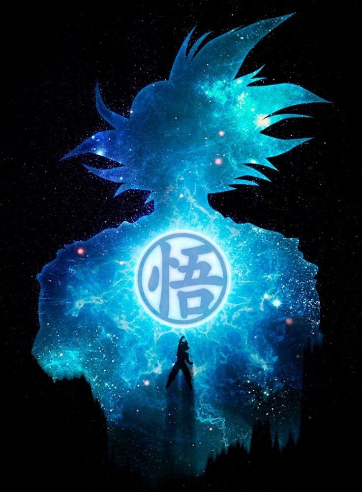 14 Pro - Vue détaillée 1