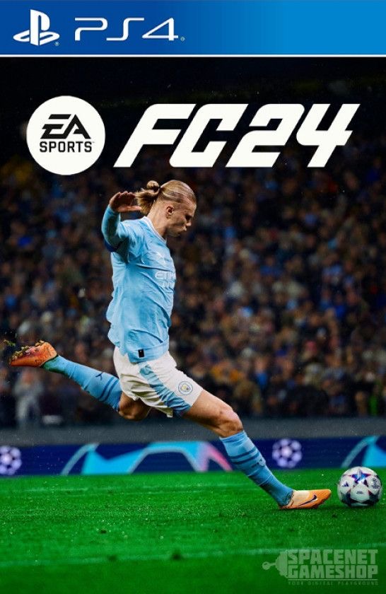 FC 24  - Vue détaillée 2