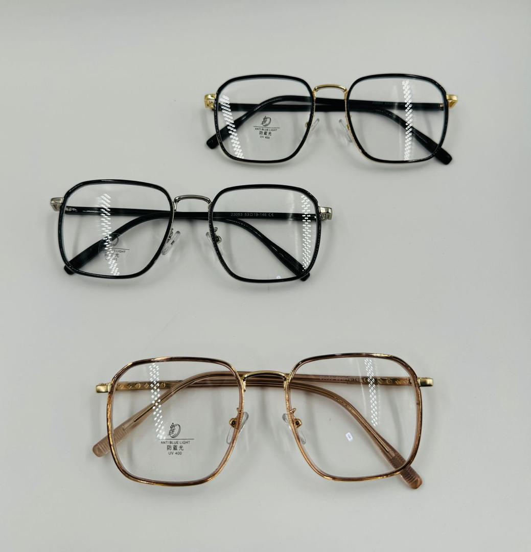 Monture  - Vue détaillée 2