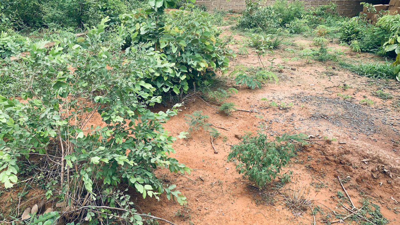 Parcelles à Vendre à Montougoula  - Vue détaillée 3