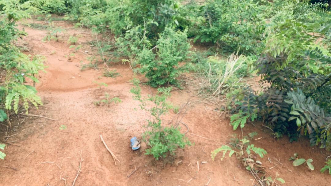 Parcelles à Vendre à Montougoula  - Vue détaillée 4