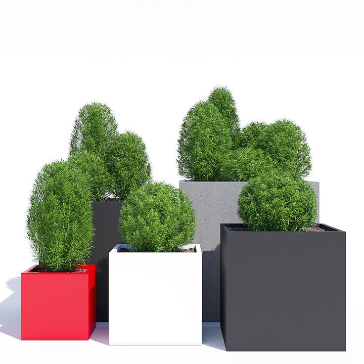 Pot de fleurs  - Vue détaillée 1