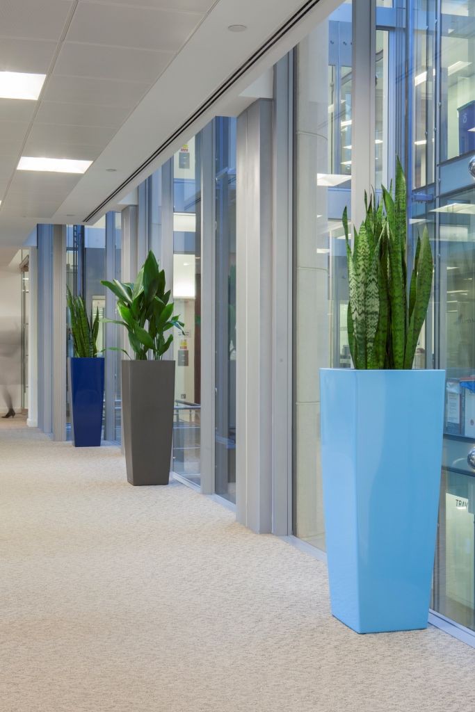 Pot de fleurs  - Vue détaillée 1