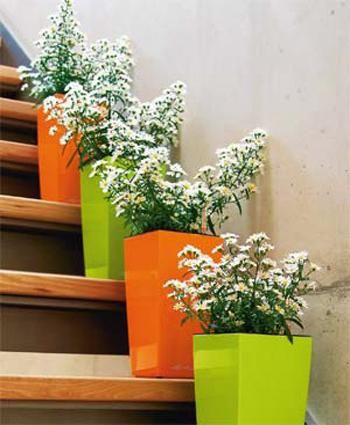 Pot de fleurs  - Vue détaillée 1