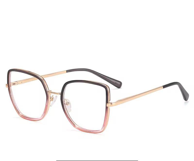 Monture  - Vue détaillée 23