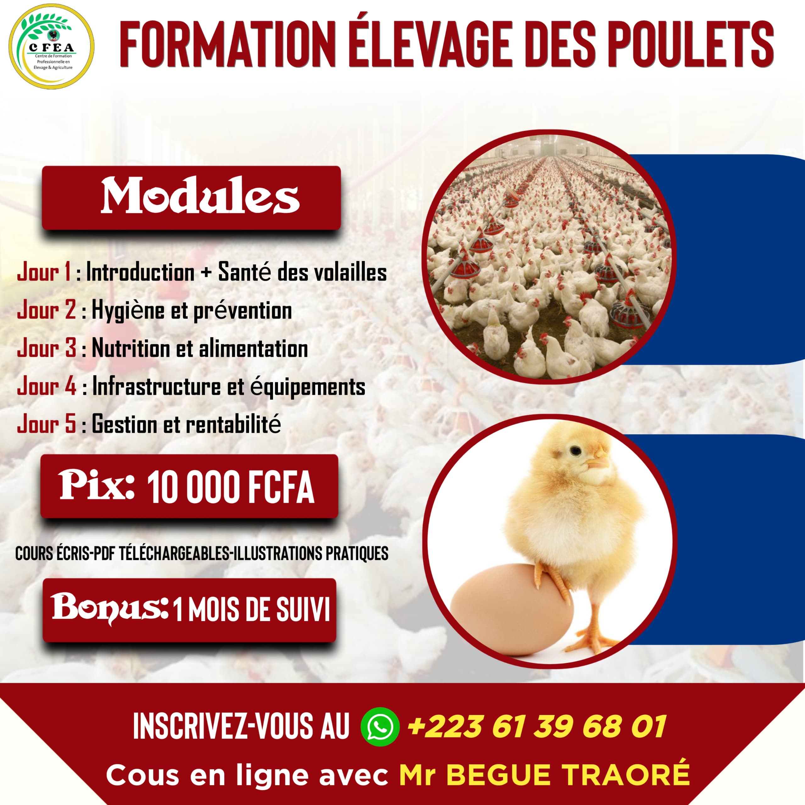 Formation en aviculture 🐓🐓 - Vue détaillée 1