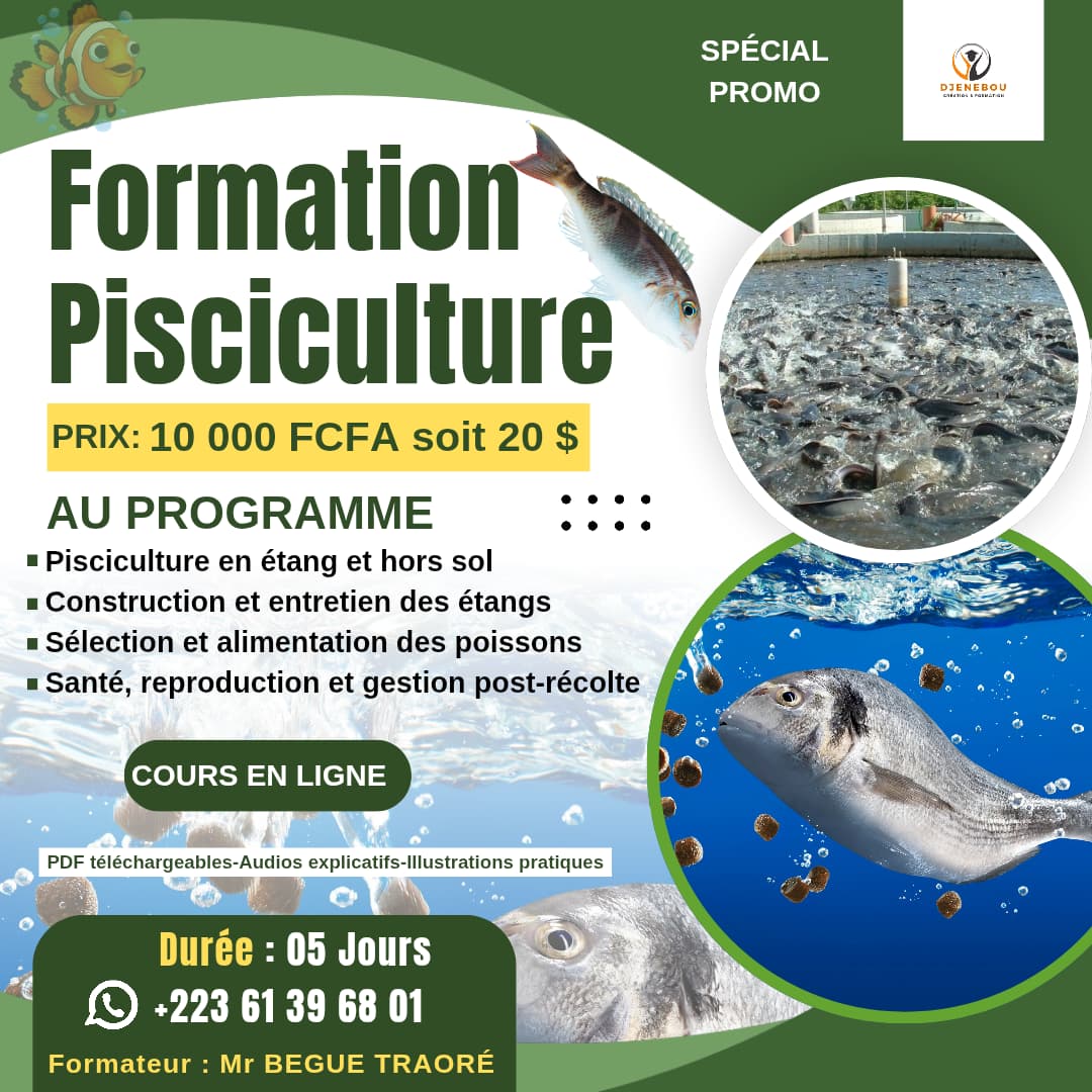 Formation pisciculture - Vue détaillée 1