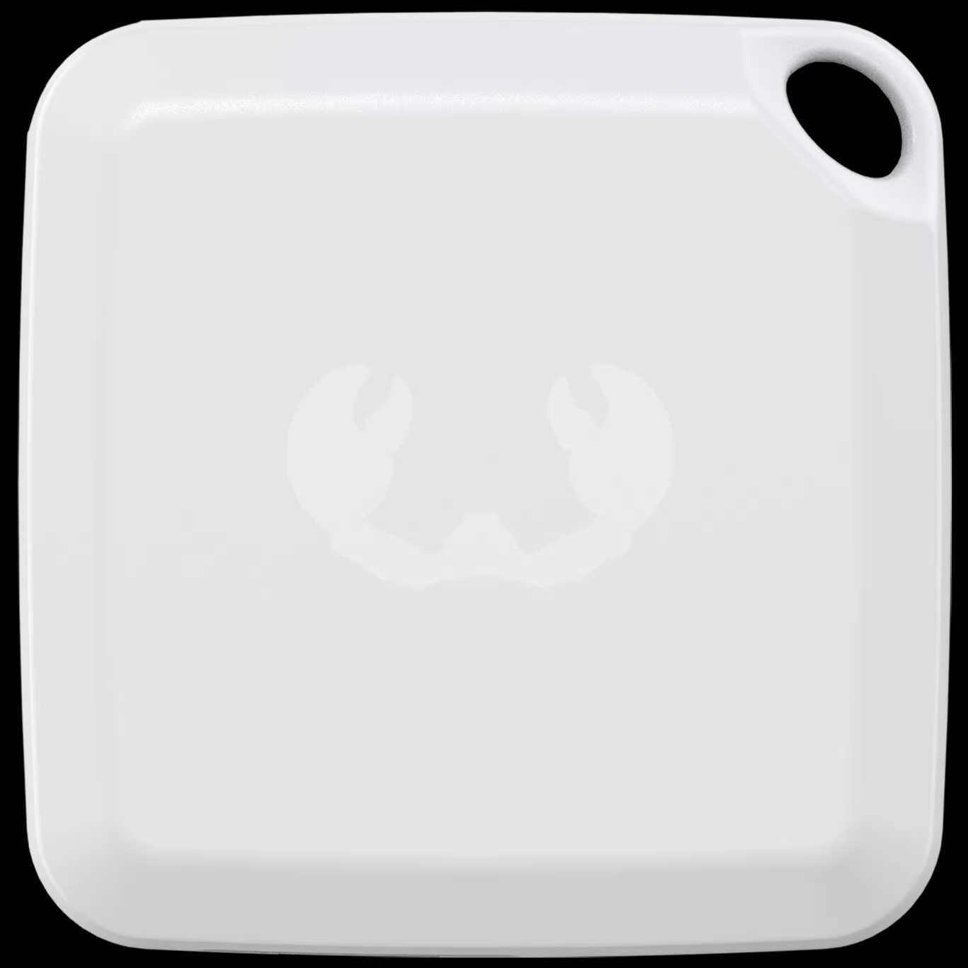 Mini GPS Rebel - Vue détaillée 1