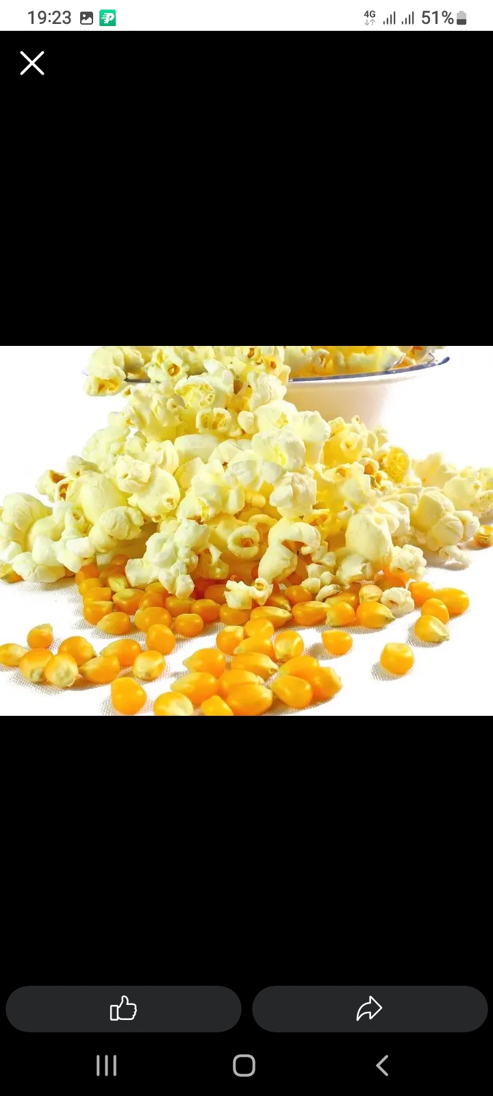 Pop corn🍿 - Vue détaillée 1